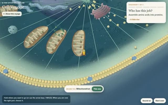 Cell Voyage, a biology game