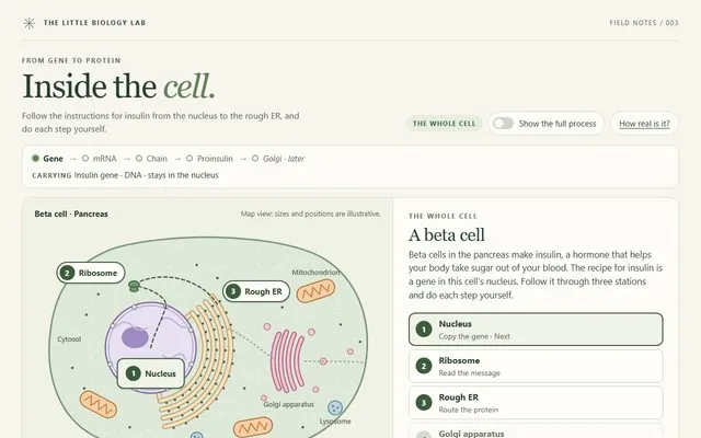 Inside the Cell, a biology game